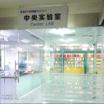 8sfgsetTechnical-Strength-2